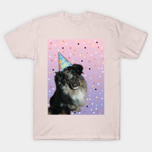 Birthday Aussie Shepard Puppy T-Shirt